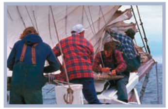 Pictures of skipjacks
