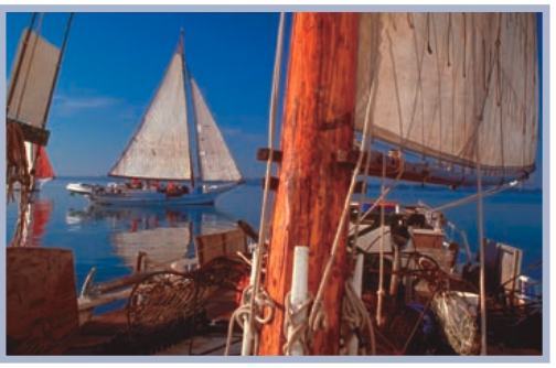 Pictures of skipjacks