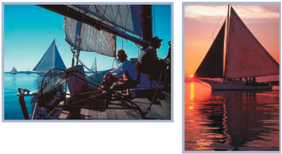 Pictures of skipjacks