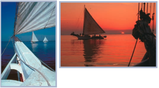 Pictures of skipjacks
