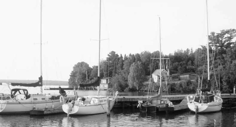 Picture of boats docked
