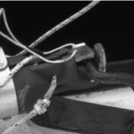 Whisker pole connector
